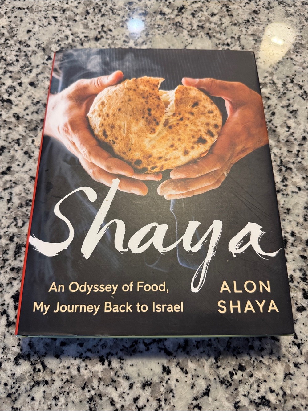 Shaya - An Odyssey of Food
